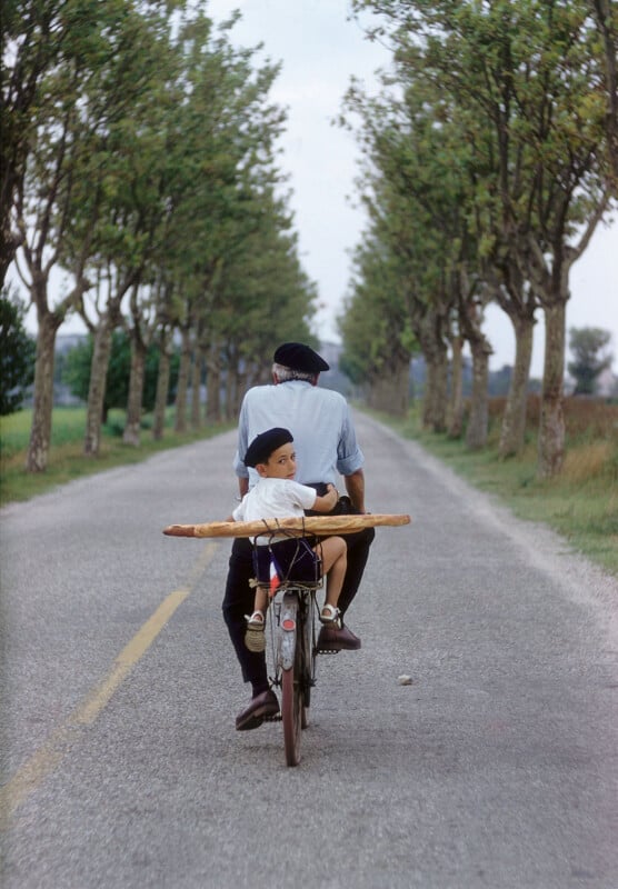 Un adulto y un niño andan en bicicleta por un camino rural bordeado de árboles. El adulto pedalea y el niño se sienta en el asiento trasero sosteniendo dos largos panes franceses. El camino está vacío y bordeado de árboles espaciados uniformemente.