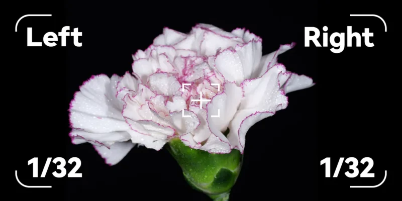 A white carnation flower with pink edges and water droplets is centered on a black background. White text reads "Left 1/32" on the left and "Right 1/32" on the right, with camera focus icons framing the flower.