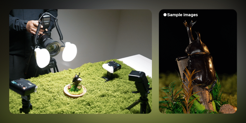 A camera setup with lighting equipment is capturing a close-up shot of a beetle on artificial grass. The right panel shows the resulting sample image of the beetle climbing a branch, against a dark background.