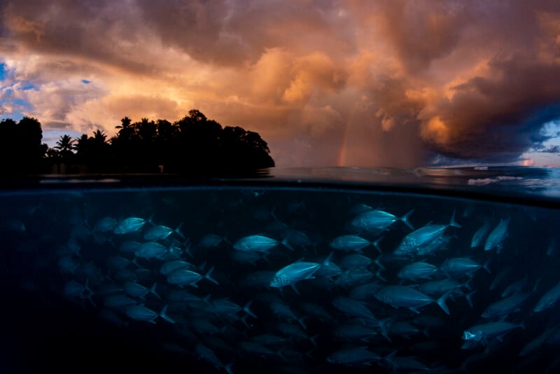 A dramatic sunset sky with dark clouds looms over a tropical island, while below the water’s surface, a large school of shimmering fish swims in the blue ocean.