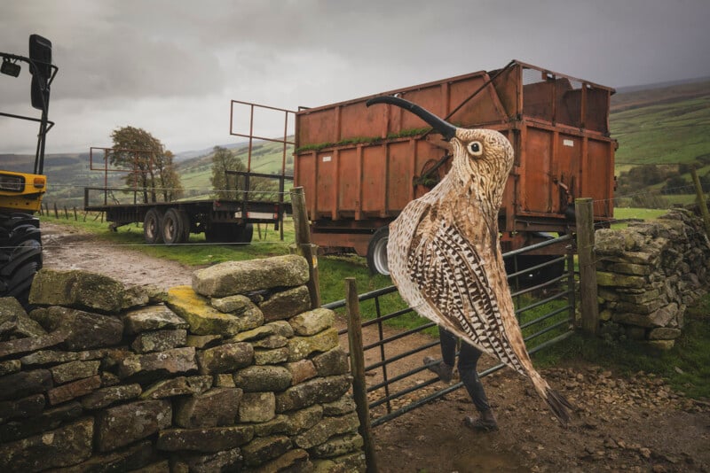 A person carrying a large, detailed bird sculpture resembling a curlew walks through a farm gate, with stone walls, rusty trailers, and rolling green hills in the background under a cloudy sky.