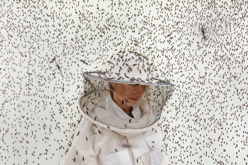 A person wearing protective beekeeping gear stands surrounded by hundreds of bees covering their suit and the white background wall.