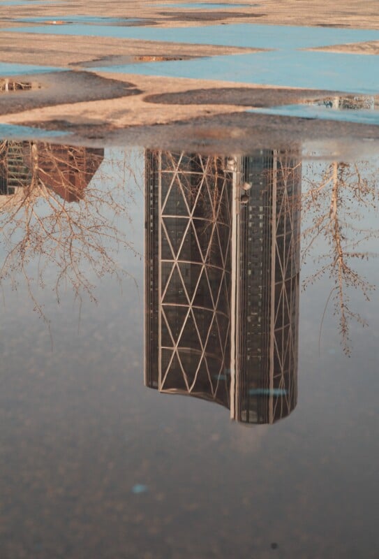 A tall, modern building with a crisscross pattern is reflected upside down in a puddle on the ground, with tree branches and part of another building also visible in the reflection.