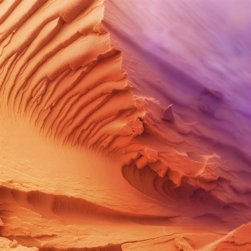 17 Award-Winning Microscope Photos Reveal the World’s Hidden Wonders