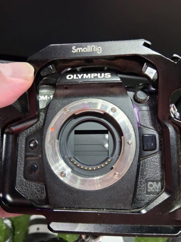 A close-up of an Olympus OM-1 camera body without a lens, held in a SmallRig cage. The camera sensor and lens mount are visible, along with part of a hand gripping the cage.