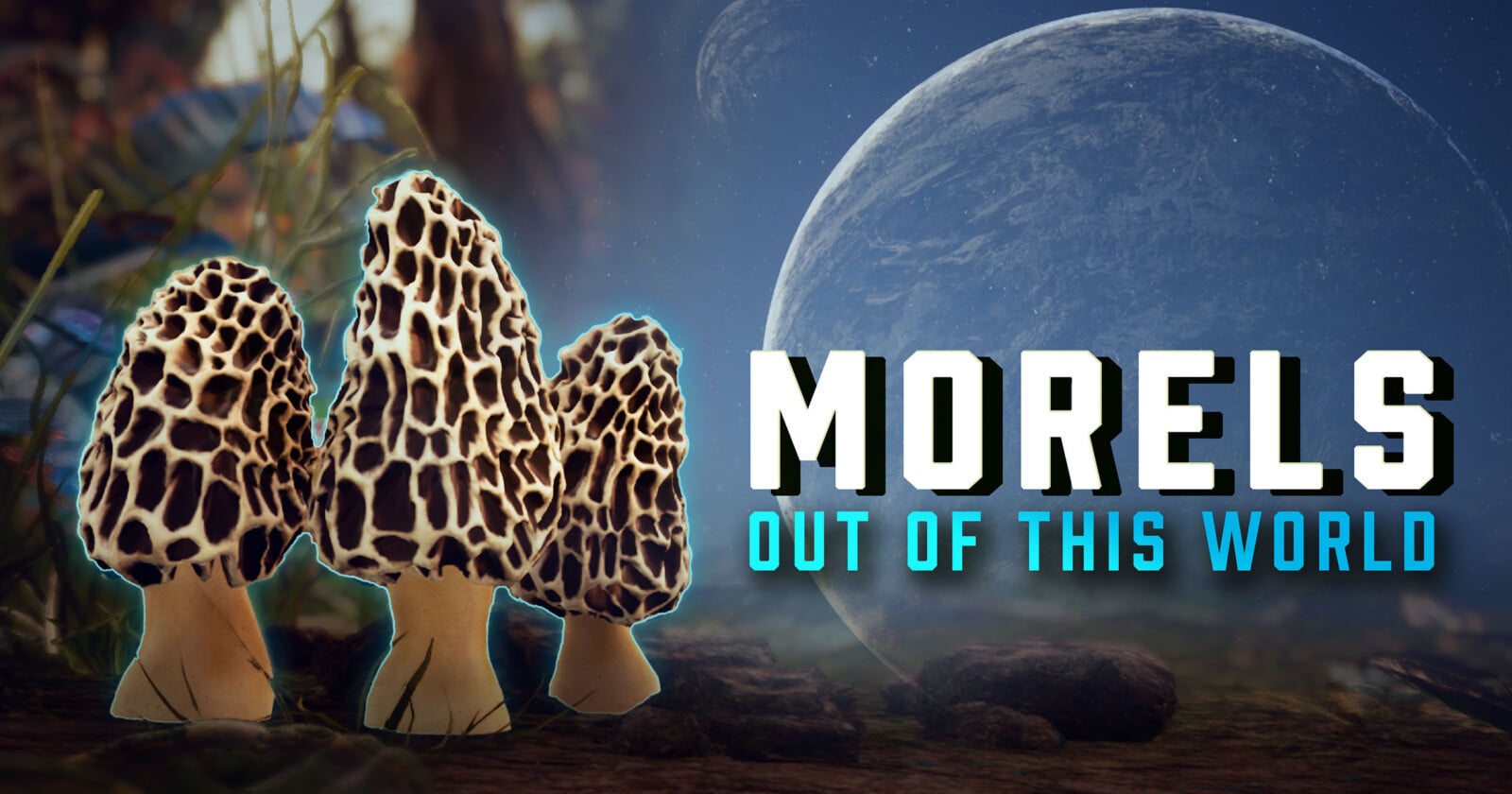 Three morel mushrooms stand in the foreground of a forest scene with a large planet visible in the background. Bold text reads “MORELS OUT OF THIS WORLD.”.