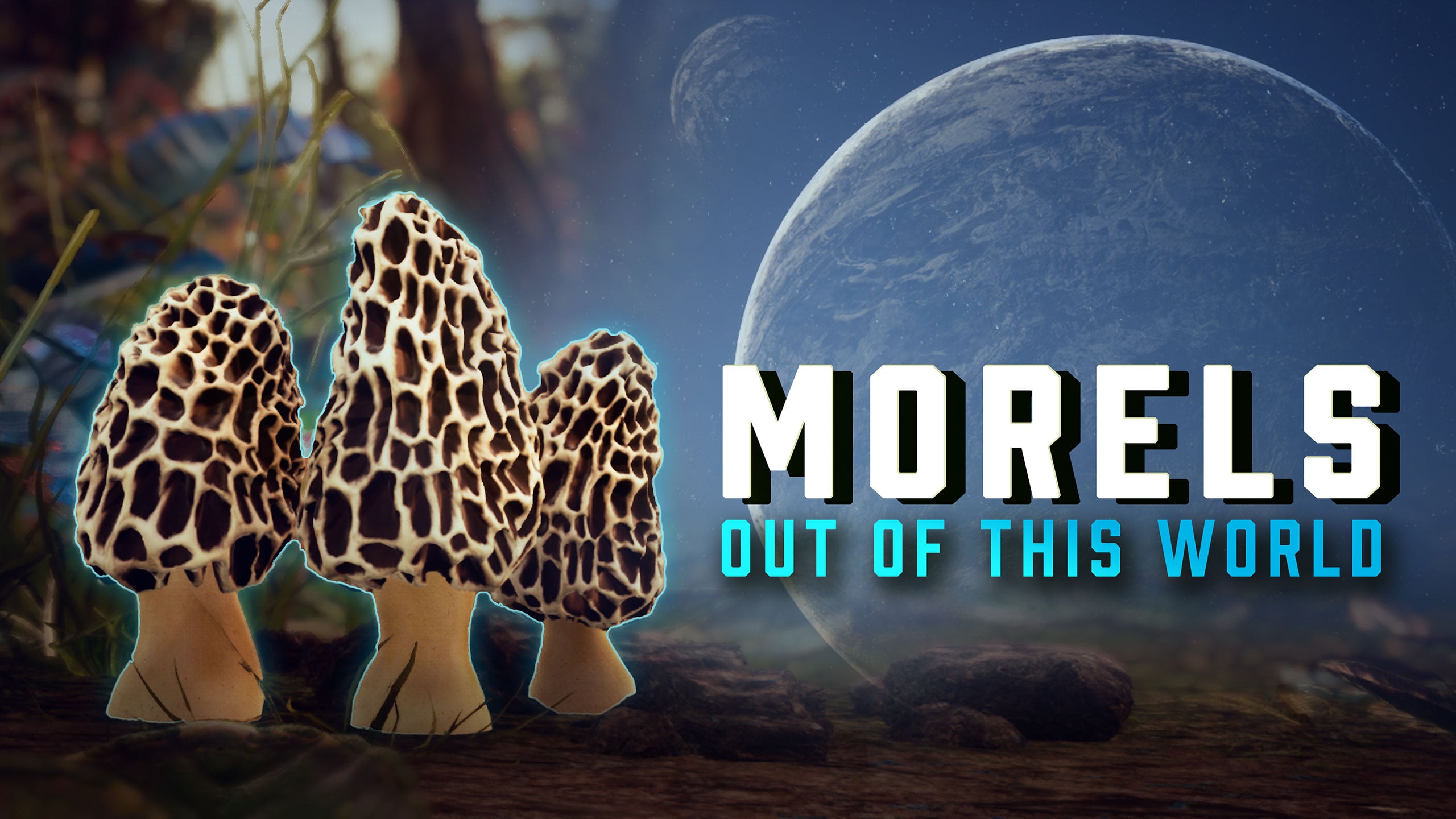 This Video Game Turns Mushroom Hunting Into a Sci-Fi Photo Expedition