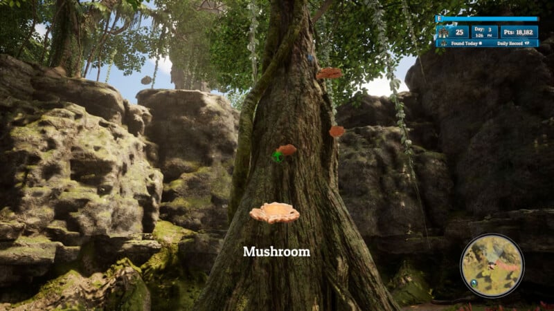 A large tree trunk with several mushrooms growing on it, set in a rocky, mossy landscape under a bright sky. On-screen text at the bottom says "Mushroom," and a game interface is visible in the top right corner.