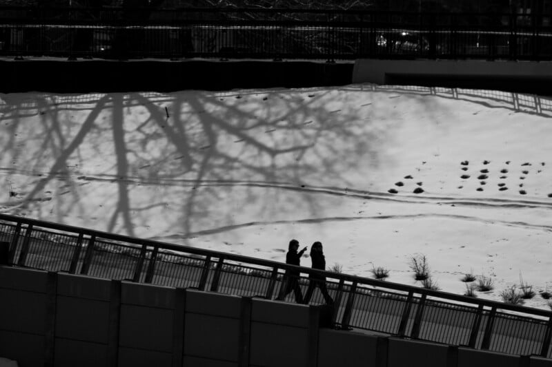 Two people walk along a fenced path beside a snowy area, with the large shadow of a tree cast over the snow. The photo is in black and white, creating a stark contrast between light and shadow.