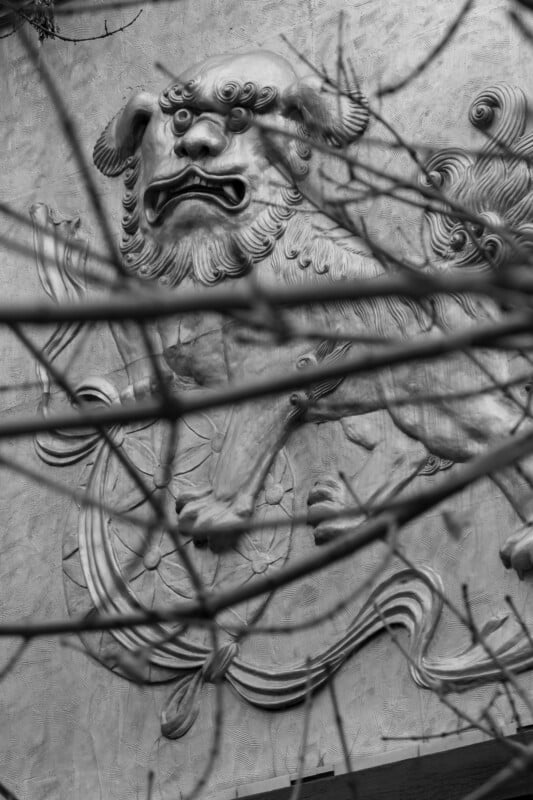 A black and white photo of a large, ornate lion sculpture on a wall, partially obscured by leafless tree branches in the foreground. The lion has a fierce expression and intricate detailing.