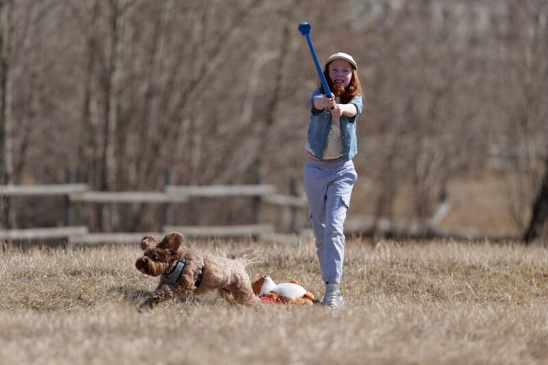 A girl in casual clothes throws a ball with a blue launcher while a brown dog excitedly runs ahead in a grassy field. Trees and a wooden fence are blurred in the background.