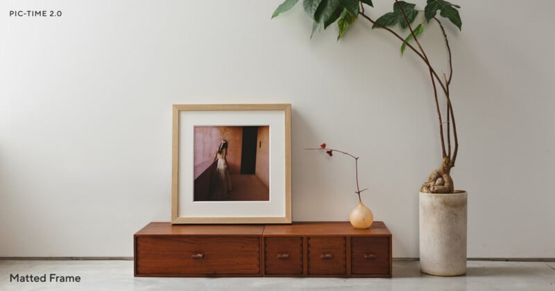 A framed photo and a small vase with a branch sit on a low wooden cabinet against a white wall, next to a tall potted plant with large green leaves.