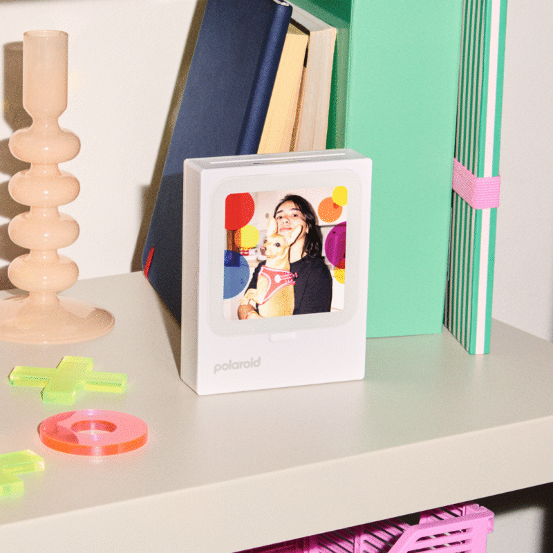 A small Polaroid photo frame sits on a light-colored shelf, displaying a photo of a smiling woman holding a dog. The shelf also holds books, a beige candlestick, and colorful plastic shapes.