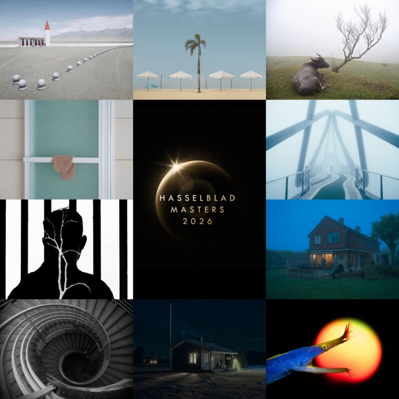 A 3x4 grid of diverse photos: a red-roofed chapel, beach scene, buffalo in fog, towel on frosted glass, modern footbridge in mist, silhouette with cracks, "Hasselblad Masters 2026" logo, red house at dusk, spiral staircase, house at night, fish with bright colors.