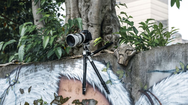 A camera with a telephoto lens is mounted on a tripod, positioned on top of a weathered, graffiti-covered wall next to a tree and green leaves. A tall building is visible in the background.