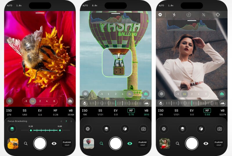  a close-up of a bee on a red flower, a green hot air balloon, and a woman in white posing outdoors; each display various camera settings.