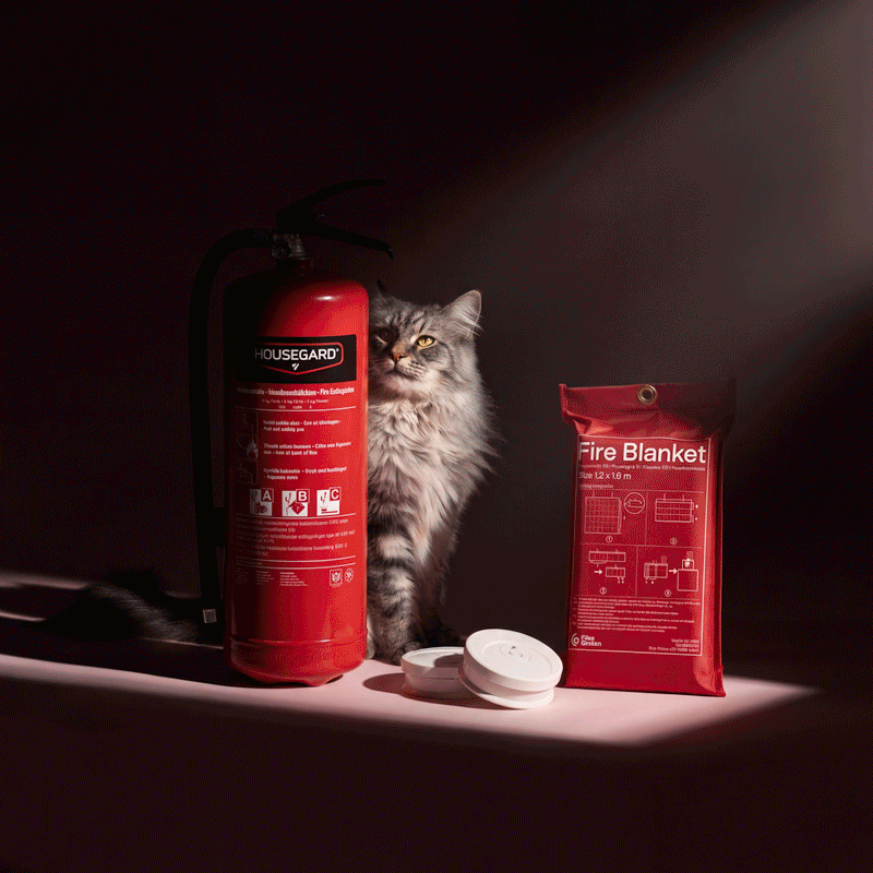 A fluffy grey cat sits between a red fire extinguisher, a fire blanket in red packaging, and a white smoke detector, all placed on a pink surface under a spotlight.