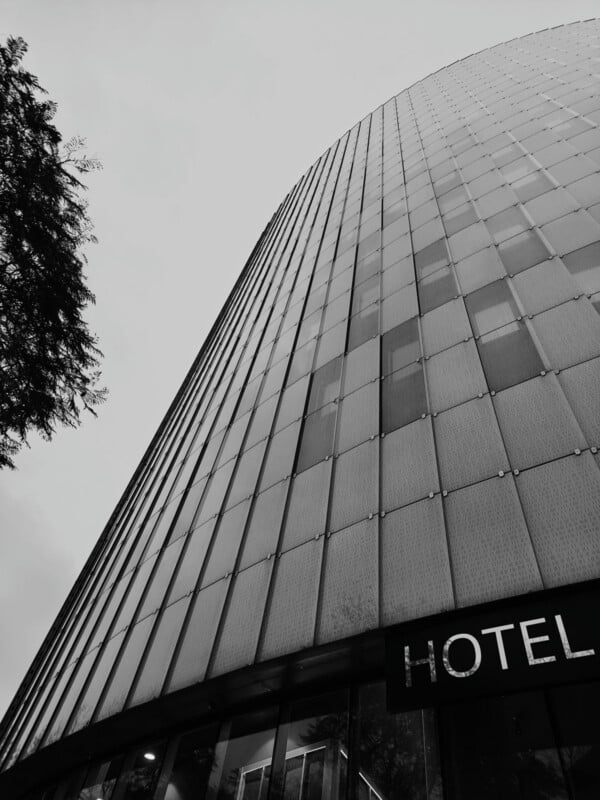 Black and white photo of a tall, modern glass building taken from a low angle, with the word "HOTEL" partially visible on a sign at the bottom and a tree on the left edge of the image.
