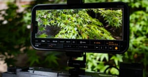 A smartphone mounted on a camera rig displays a live view of green maple leaves, with detailed camera settings visible on the screen. The background shows matching green foliage.