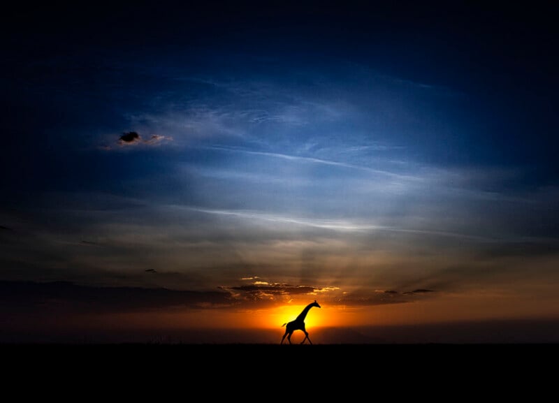 A lone giraffe walks across a flat landscape at sunset, silhouetted against an orange and blue sky with scattered clouds and rays of sunlight radiating from the horizon.