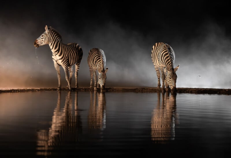 Three zebras stand at the edge of a calm waterhole at night, two drinking and one looking up, their reflections visible in the water with mist and dramatic lighting in the background.