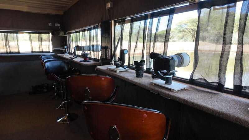 A row of cameras with telephoto lenses are set up on tripods at a bar-style counter inside a hide, facing large windows with sheer black curtains overlooking a natural outdoor scene. Several wooden stools line the counter.