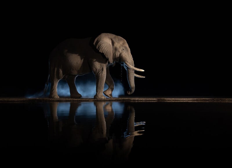 An elephant walks along the edge of water at night, dramatically lit against a black background, with its reflection visible on the water’s surface and mist or dust around its feet.