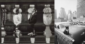 A black-and-white photo collage: on the left, a man and woman sit and talk behind a blurred railing; on the right, a cat sits on a vintage car’s hood in a city parking lot with tall buildings in the background.