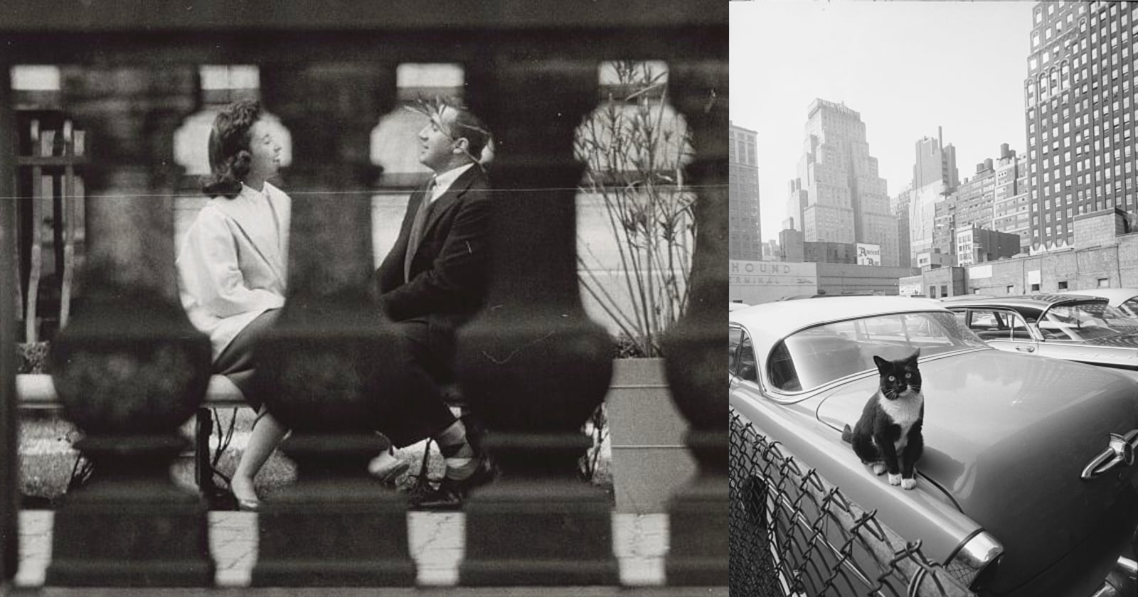 A black-and-white photo collage: on the left, a man and woman sit and talk behind a blurred railing; on the right, a cat sits on a vintage car’s hood in a city parking lot with tall buildings in the background.