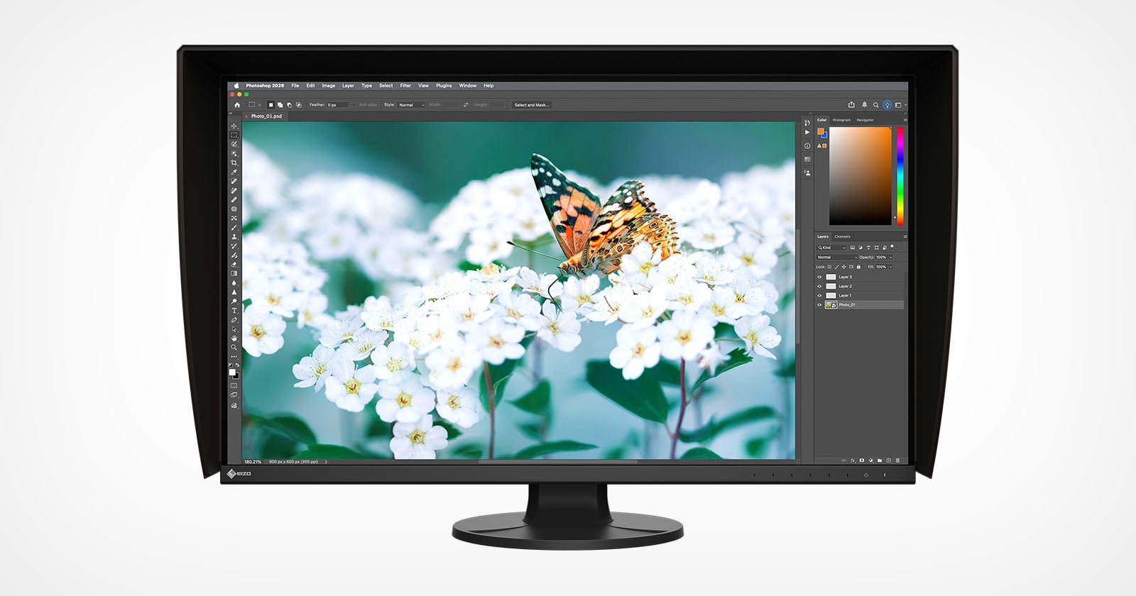 A computer monitor displays an image editing program with a photo of a butterfly perched on white flowers, showing editing tools and color palettes on the screen.