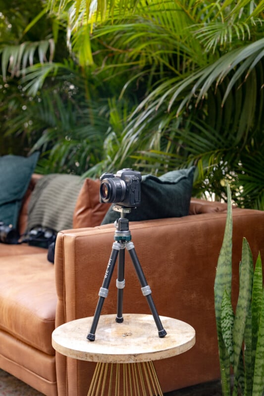 A camera on a tripod is set on a round side table in front of a brown leather sofa with green cushions, surrounded by lush indoor plants.