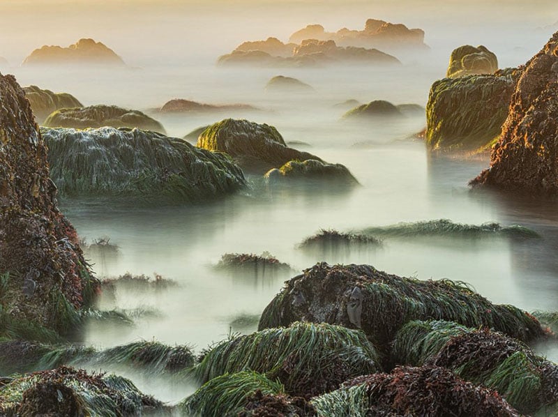 ‘Patterns’ Is a Photographic Celebration of Nature’s Rhythms