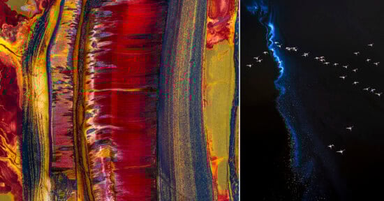Split image: Left side shows vibrant, abstract patterns in red, gold, and blue resembling a textured painting; right side features a flock of birds flying over dark water with a glowing blue streak, creating a striking contrast.