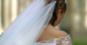 A bride is seen from behind, wearing a white lace wedding dress and a long, sheer veil. Her hair is styled up, and the background is softly blurred.