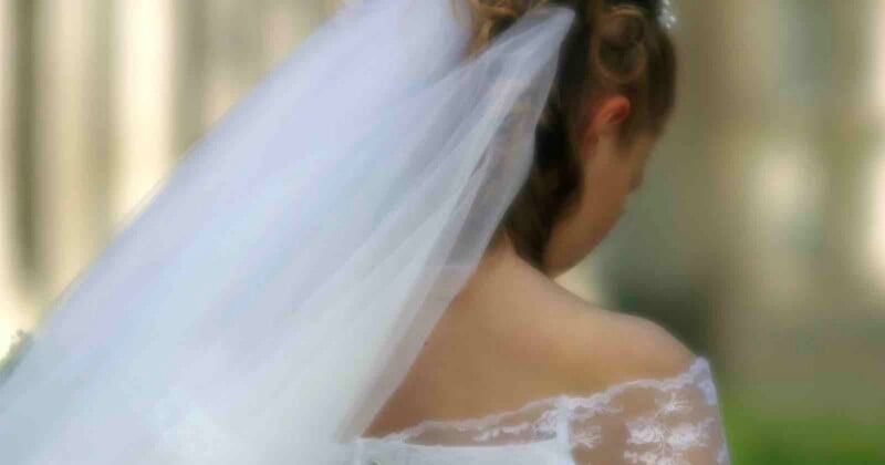 A bride is seen from behind, wearing a white lace wedding dress and a long, sheer veil. Her hair is styled up, and the background is softly blurred.