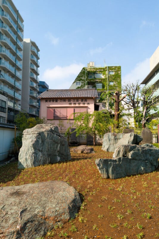 A small garden with large rocks and sparse grass sits between modern buildings. In the background, a pink building with Japanese writing stands next to a taller building covered in green vines.