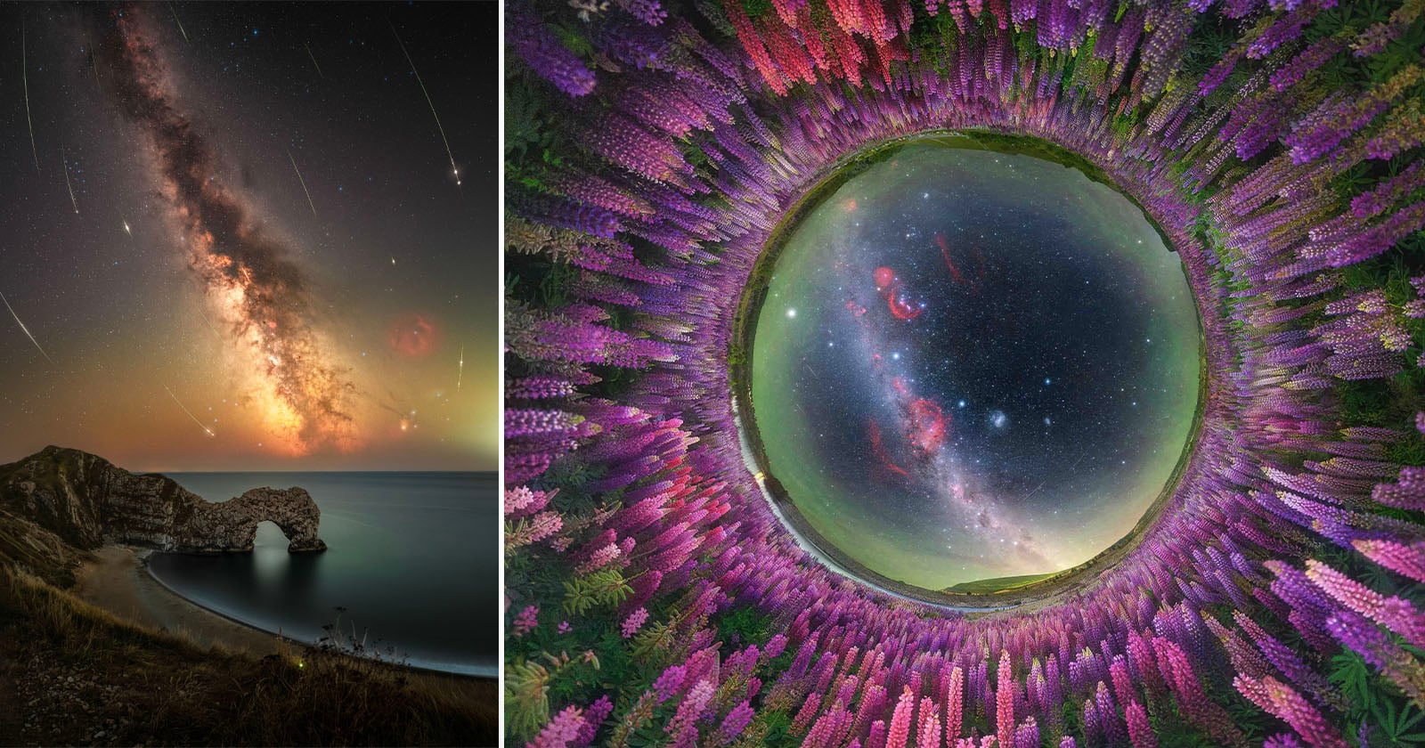Split image: Left, a glowing Milky Way arches above a rocky coastal landscape at night. Right, a circular fisheye view of the Milky Way surrounded by vibrant purple and pink lupine flowers.