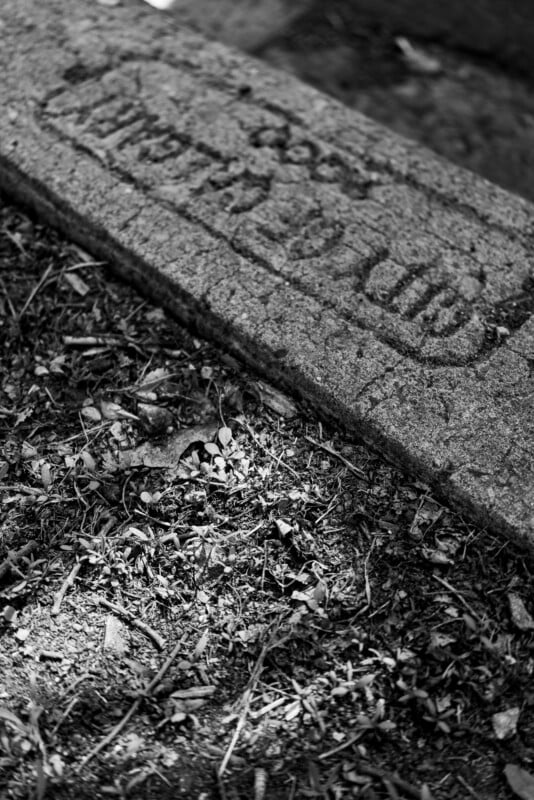 A black and white photo of a weathered concrete curb with worn, barely readable engraved text. Dry grass and twigs cover the ground beside the curb, with sunlight casting shadows across the scene.