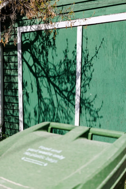 A close-up of a green recycling bin in front of a green wooden garage door with white trim. Tree branches cast detailed shadows on the door in bright sunlight.