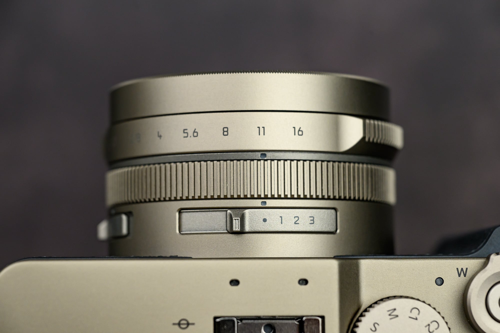 Panasonic Lumix L10 Review: Compact, Stylish, and Capable | PetaPixel