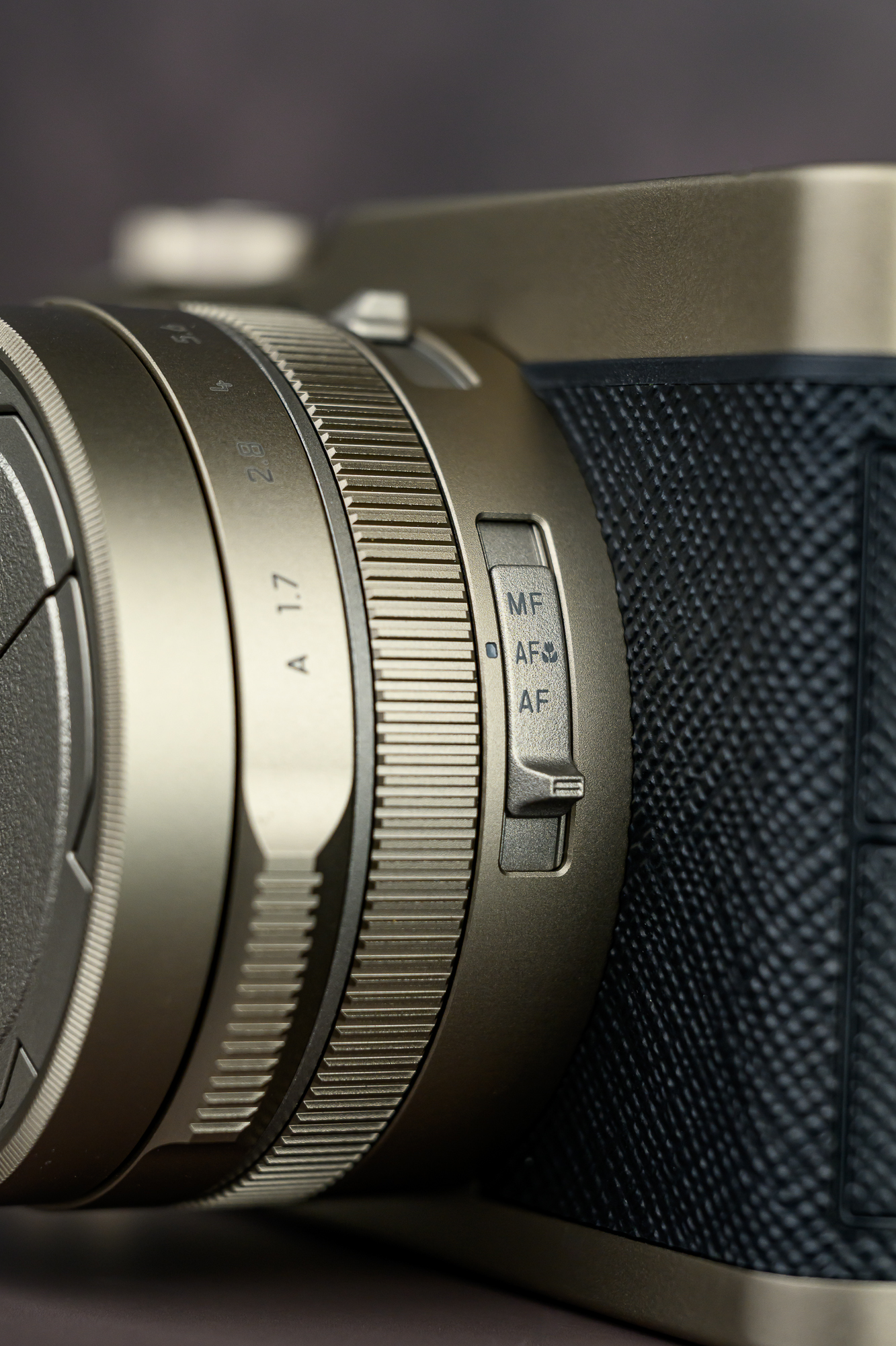 Panasonic Lumix L10 Review: Compact, Stylish, and Capable | PetaPixel