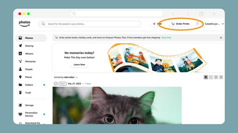 A screenshot of a photo storage website shows a search bar, a highlighted "Order Prints" button, a “No memories today” banner, and a partial photo of a gray cat with green eyes at the bottom.