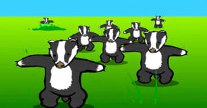 Cartoon illustration of several black and white badgers standing upright with their arms out, spread across a bright green field under a blue sky.