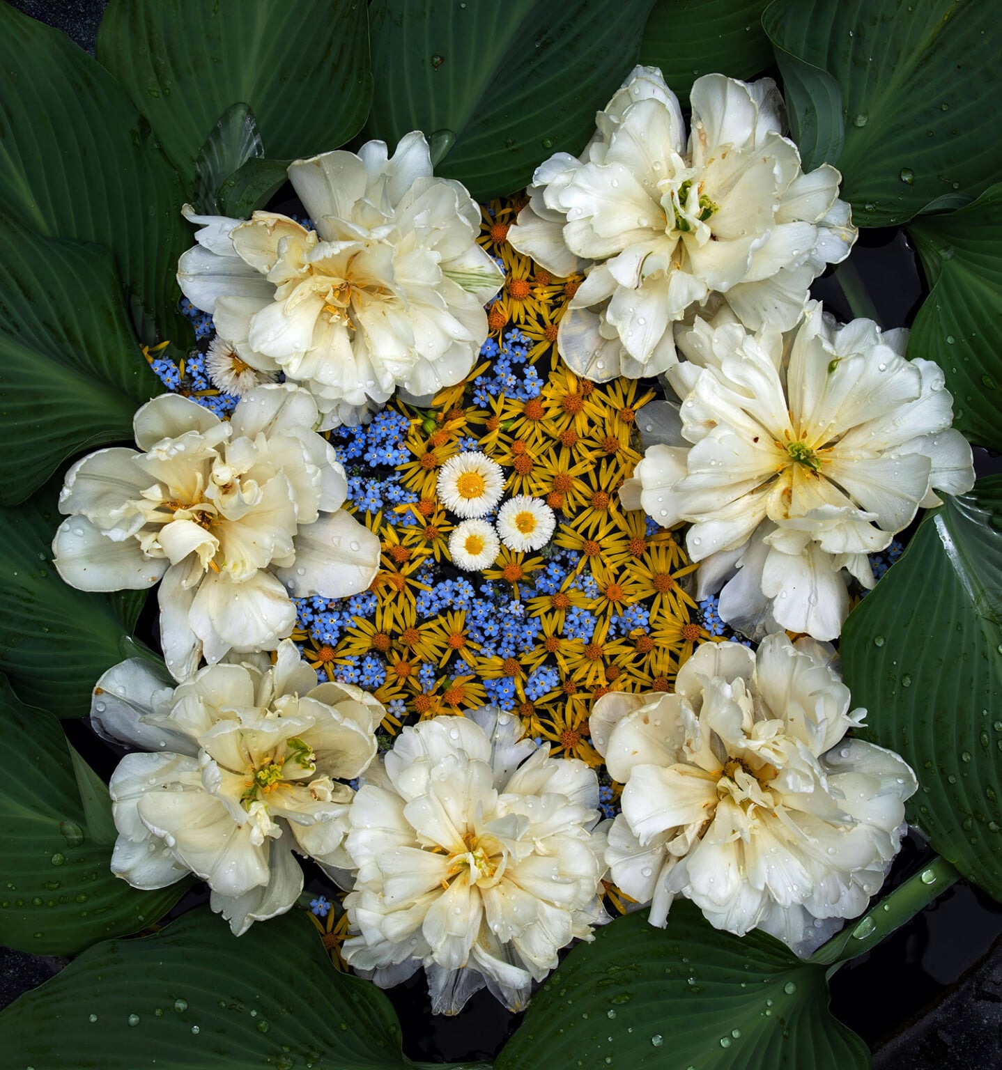 Easy Macro Photography Tips for Incredible Close-Up Photos | PetaPixel