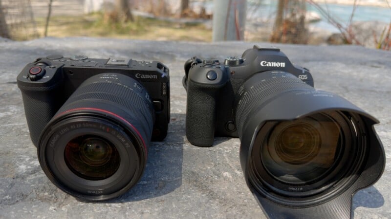 Two Canon cameras with large lenses sit side by side on a stone surface outdoors, with blurred grass and trees in the background.