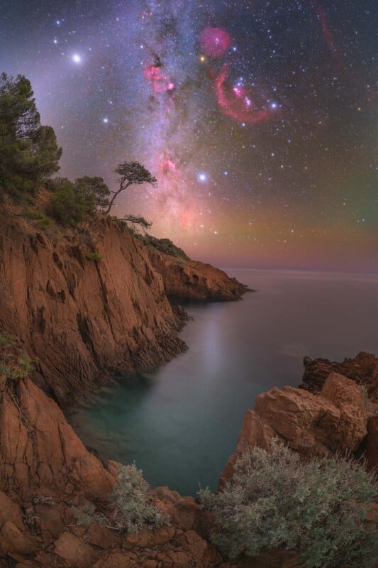 Rocky cliffs overlook a calm sea under a vibrant night sky filled with stars and the Milky Way. A lone tree grows on the cliff edge, and coastal vegetation is visible in the foreground.
