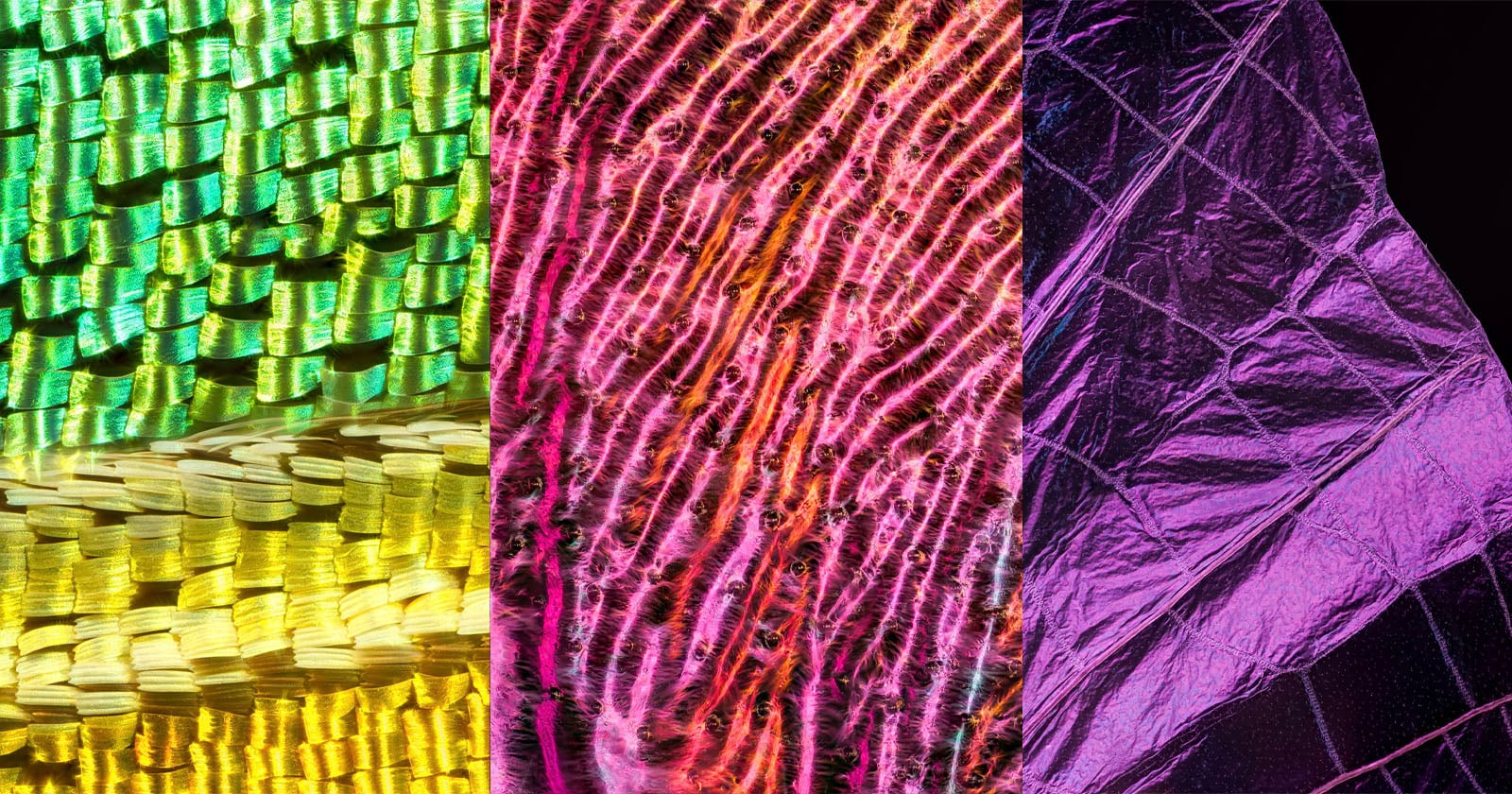 A split image showing close-ups: shimmering green and yellow sequins on the left, textured pink and orange fibers in the center, and crinkled metallic purple foil on the right, all with striking lighting and detail.