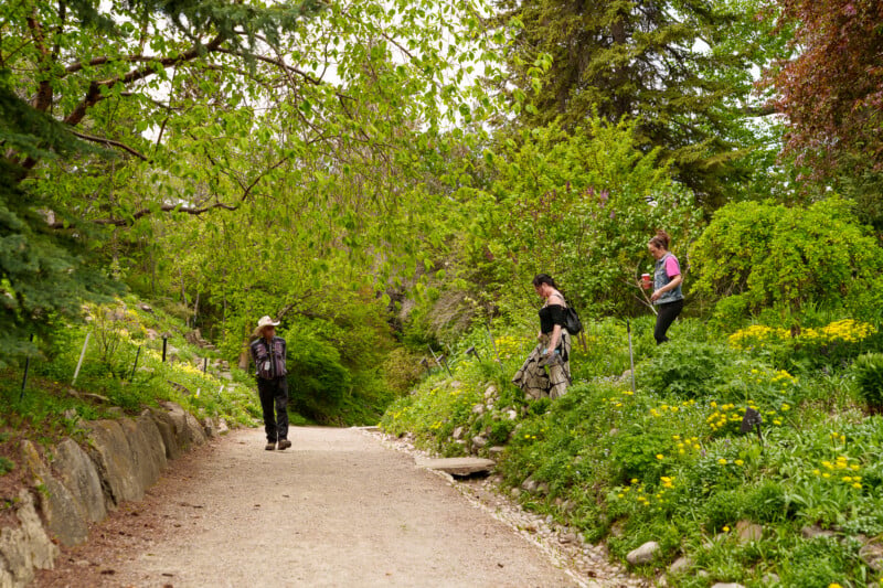 A person walks along a gravel path through a lush, green garden while two others stand on a slope beside the path, surrounded by trees and flowering plants on a cloudy day.