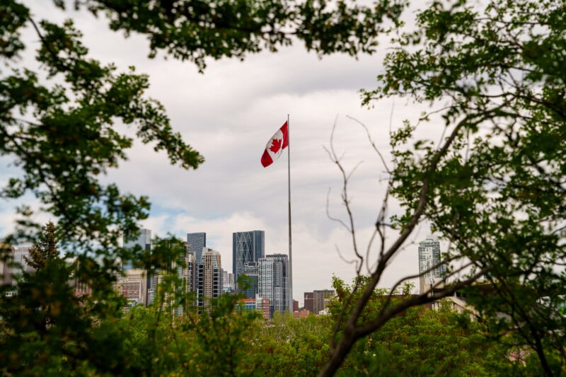 A Canadian flag on a tall pole stands prominently above trees, with a modern city skyline in the background framed by green foliage and a cloudy sky.