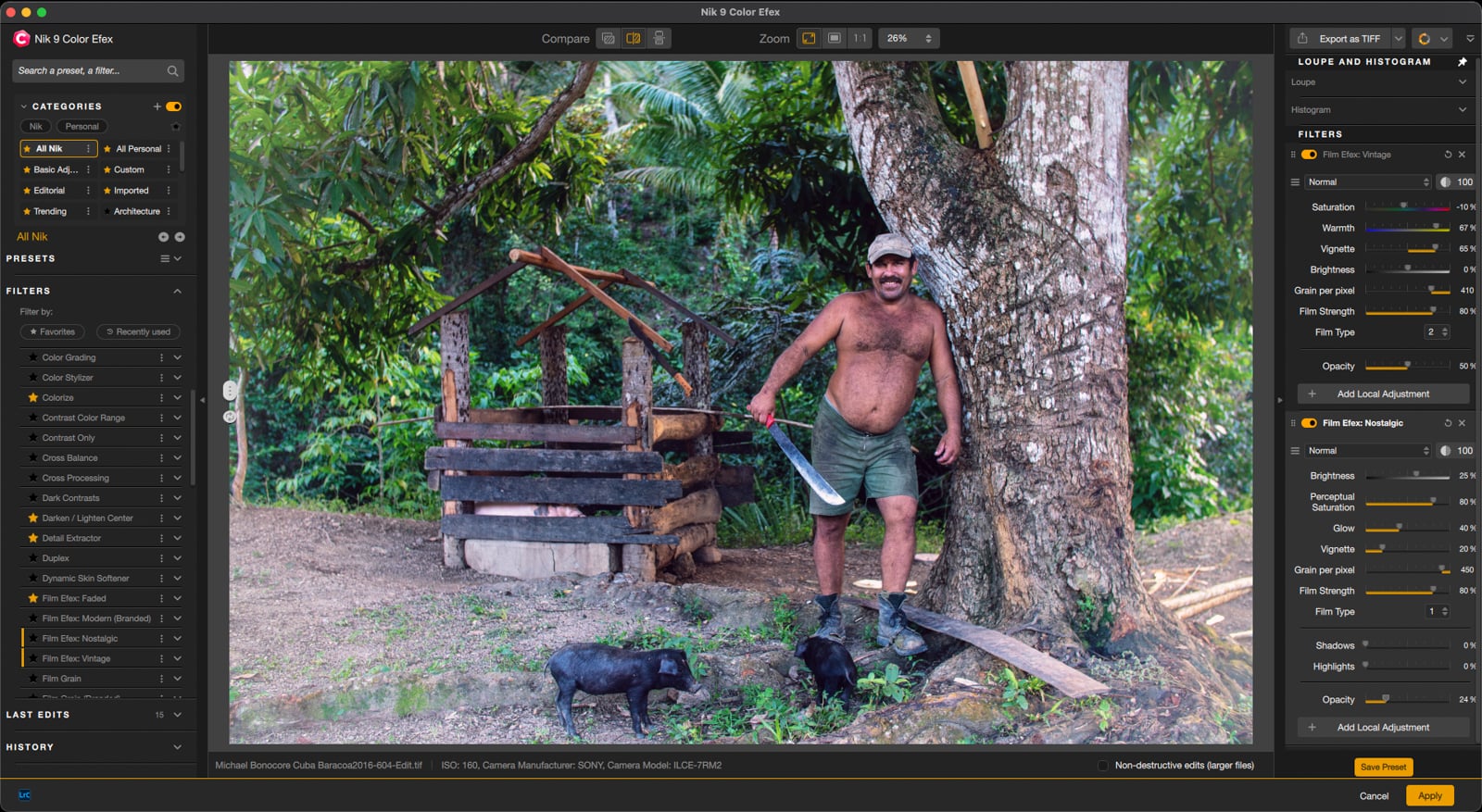 A man stands shirtless holding a large knife next to a tree in a lush, green outdoor setting with two black pigs nearby and a wooden structure in the background. Editing tools and settings are visible on the screen.